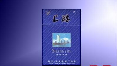 上海金桥外烟厂地址